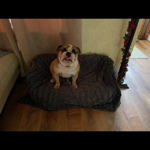 Meet your Posher, Marc